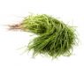 Agretti